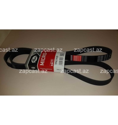 Toyota RAV-4 (XA30) 2005-2012, remen dinamo 2.0 motor 